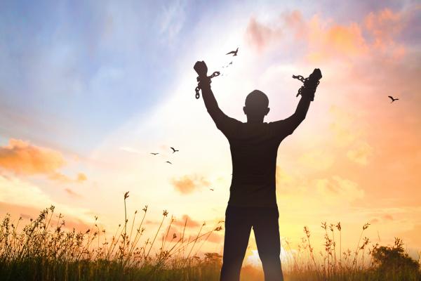 Freedom in Captivity